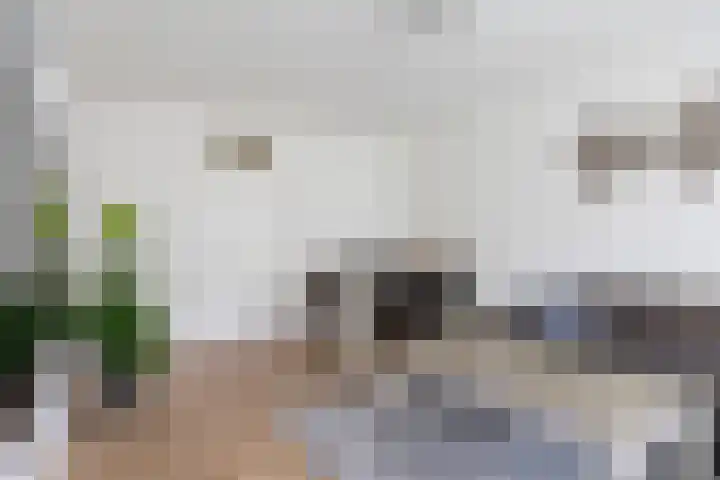 Douwelerwetering 22 Deventer thumbnail 12