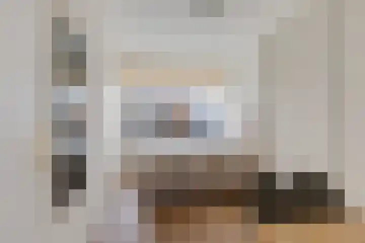 Douwelerwetering 22 Deventer thumbnail 17