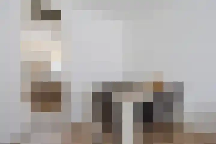 Douwelerwetering 22 Deventer thumbnail 18