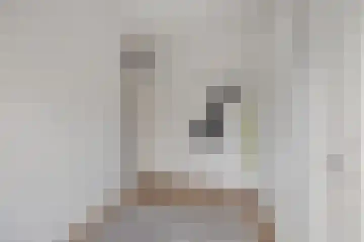 Douwelerwetering 22 Deventer thumbnail 34