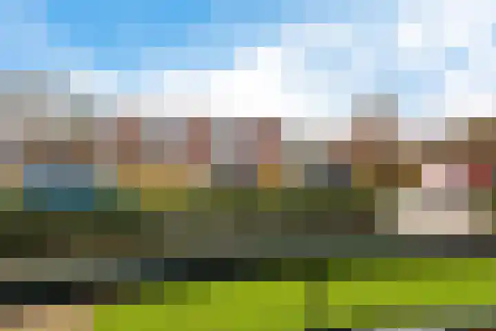 Douwelerwetering 22 Deventer thumbnail 38
