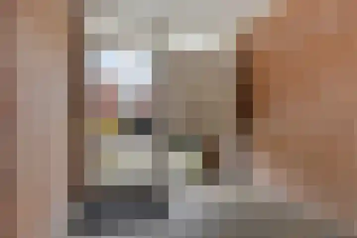 Douwelerwetering 22 Deventer thumbnail 48