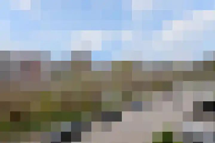 Douwelerwetering 38 Deventer thumbnail 20