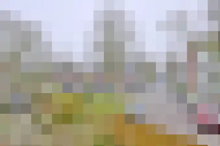 Douwelerwetering 43 Deventer thumbnail 17