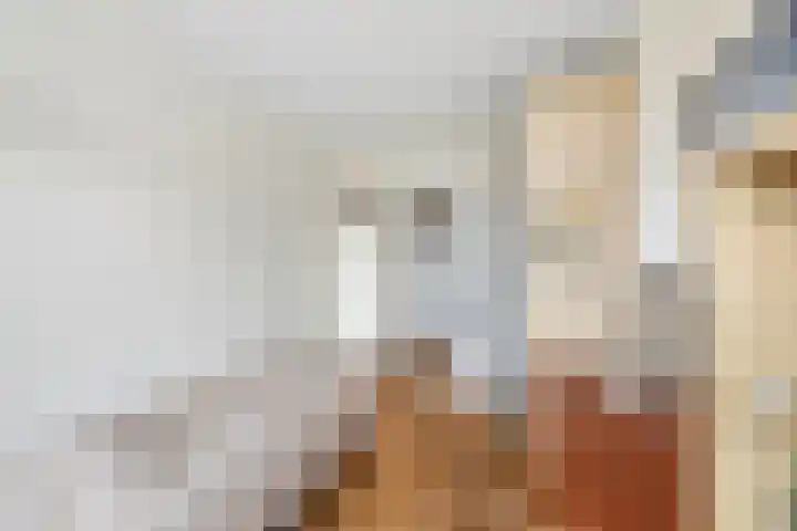 Douwelerwetering 63 Deventer thumbnail 12