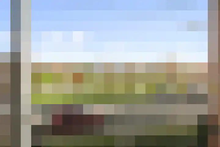 Douwelerwetering 63 Deventer thumbnail 13