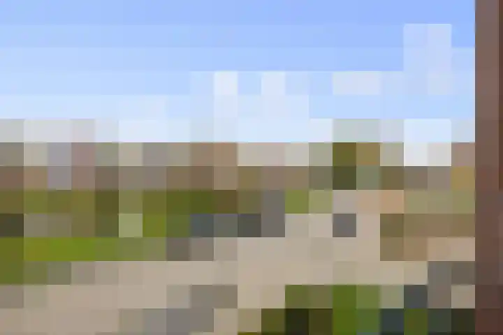 Douwelerwetering 63 Deventer thumbnail 14