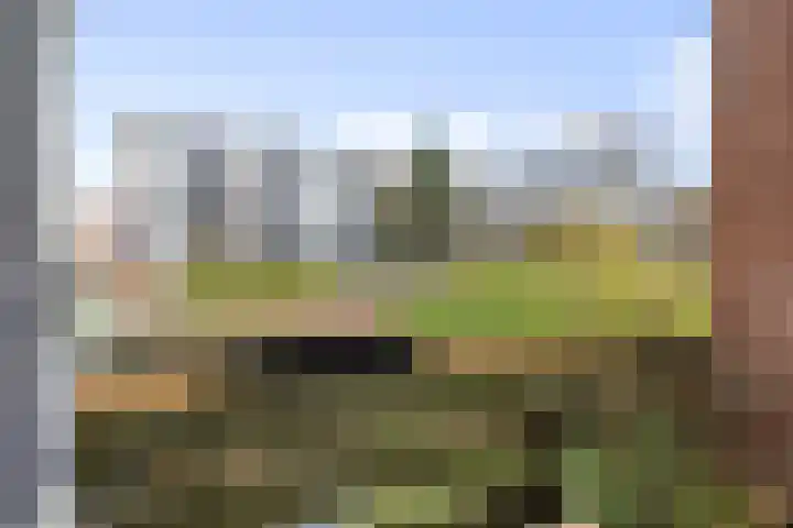 Douwelerwetering 63 Deventer thumbnail 18