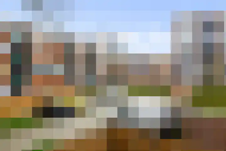 Douwelerwetering 63 Deventer thumbnail 19