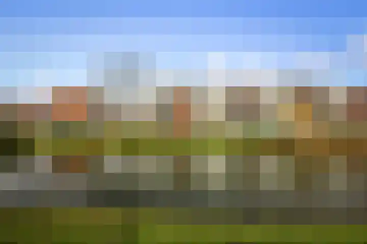 Douwelerwetering 63 Deventer thumbnail 23