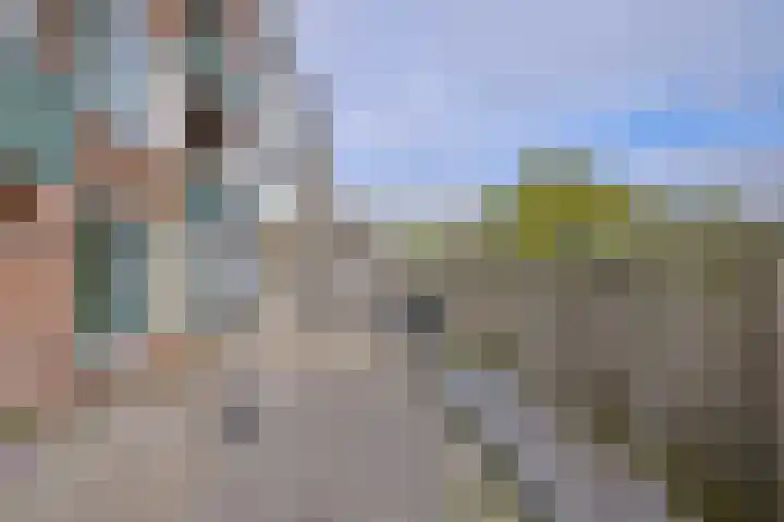 Douwelerwetering 8 Deventer thumbnail 14