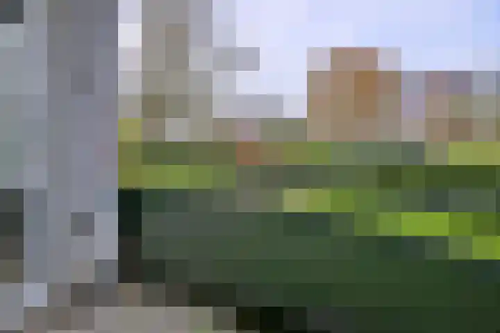 Douwelerwetering 8 Deventer thumbnail 19