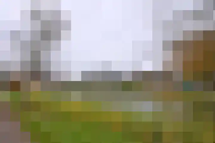 Douwelerwetering 8 Deventer thumbnail 20