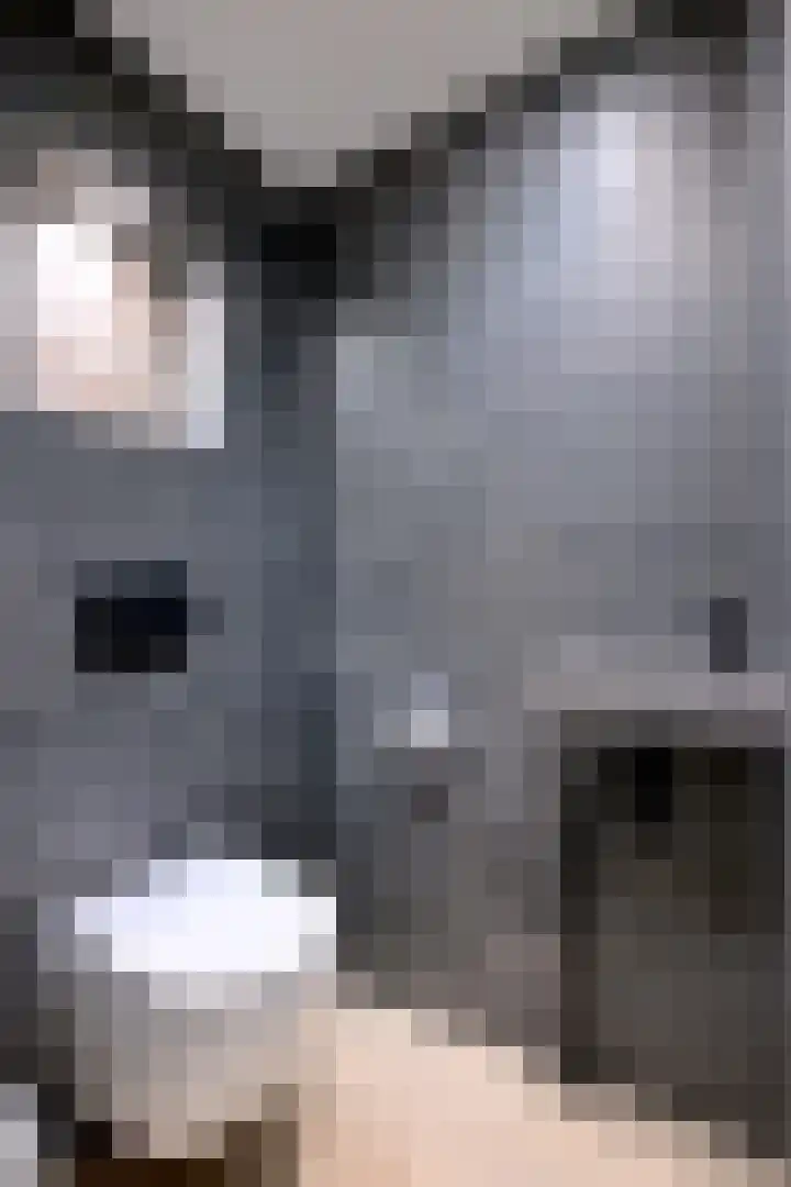 Douwelerwetering 8 Deventer thumbnail 30