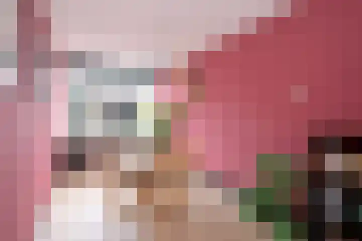 Douwelerwetering 8 Deventer thumbnail 7
