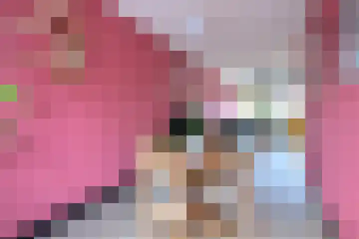 Douwelerwetering 8 Deventer thumbnail 8
