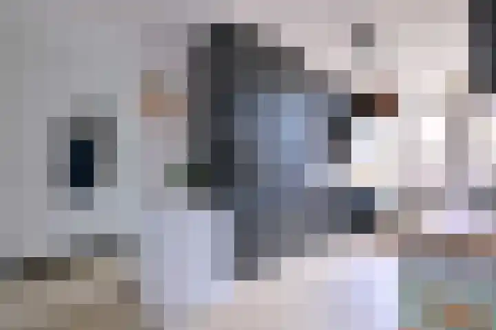 Douwelerwetering 8 Deventer thumbnail 9