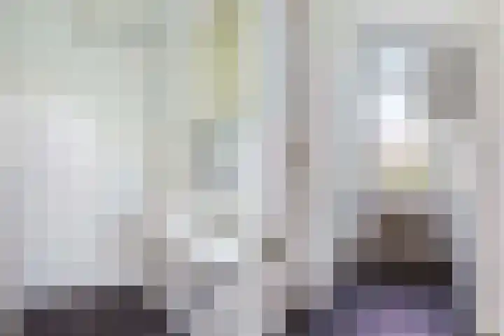 Douwelerwetering 85 Deventer thumbnail 15
