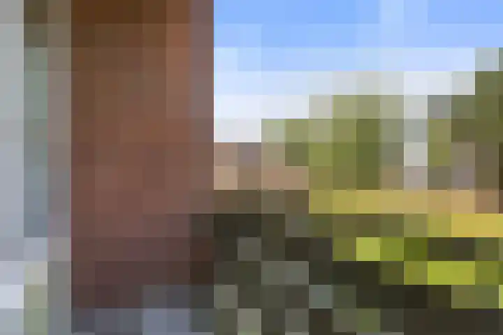 Douwelerwetering 85 Deventer thumbnail 19