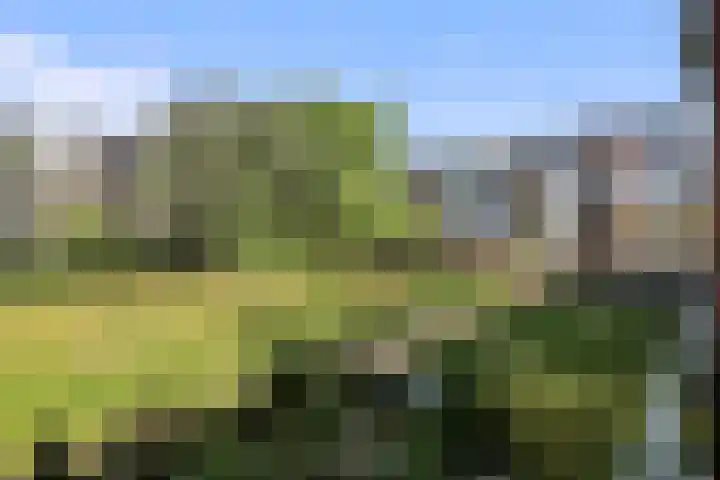 Douwelerwetering 85 Deventer thumbnail 20