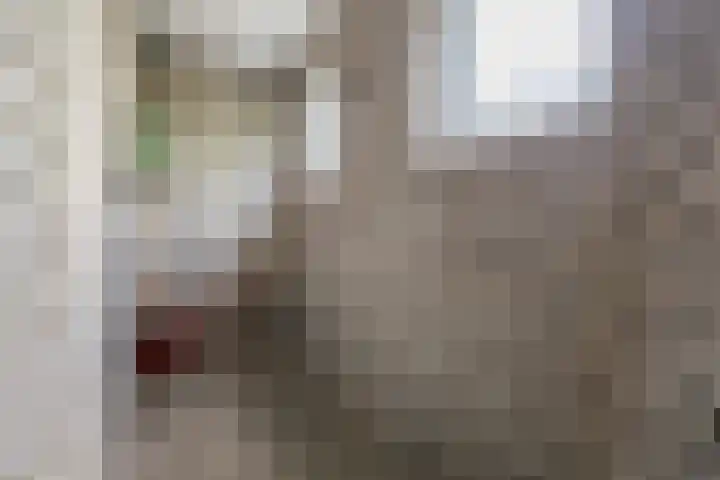 Douwelerwetering 85 Deventer thumbnail 26