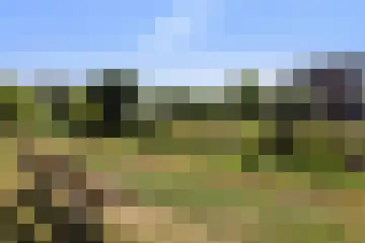 Douwelerwetering 85 Deventer thumbnail 27