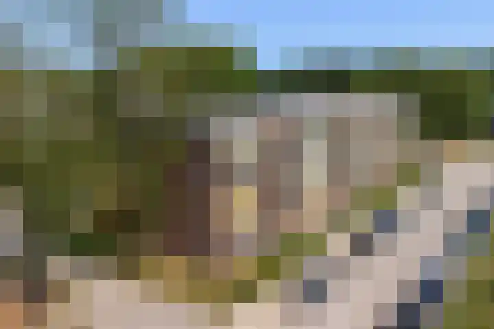 Douwelerwetering 85 Deventer thumbnail 33
