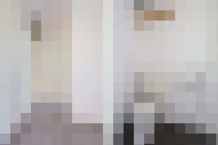 Douwelerwetering 85 Deventer thumbnail 8