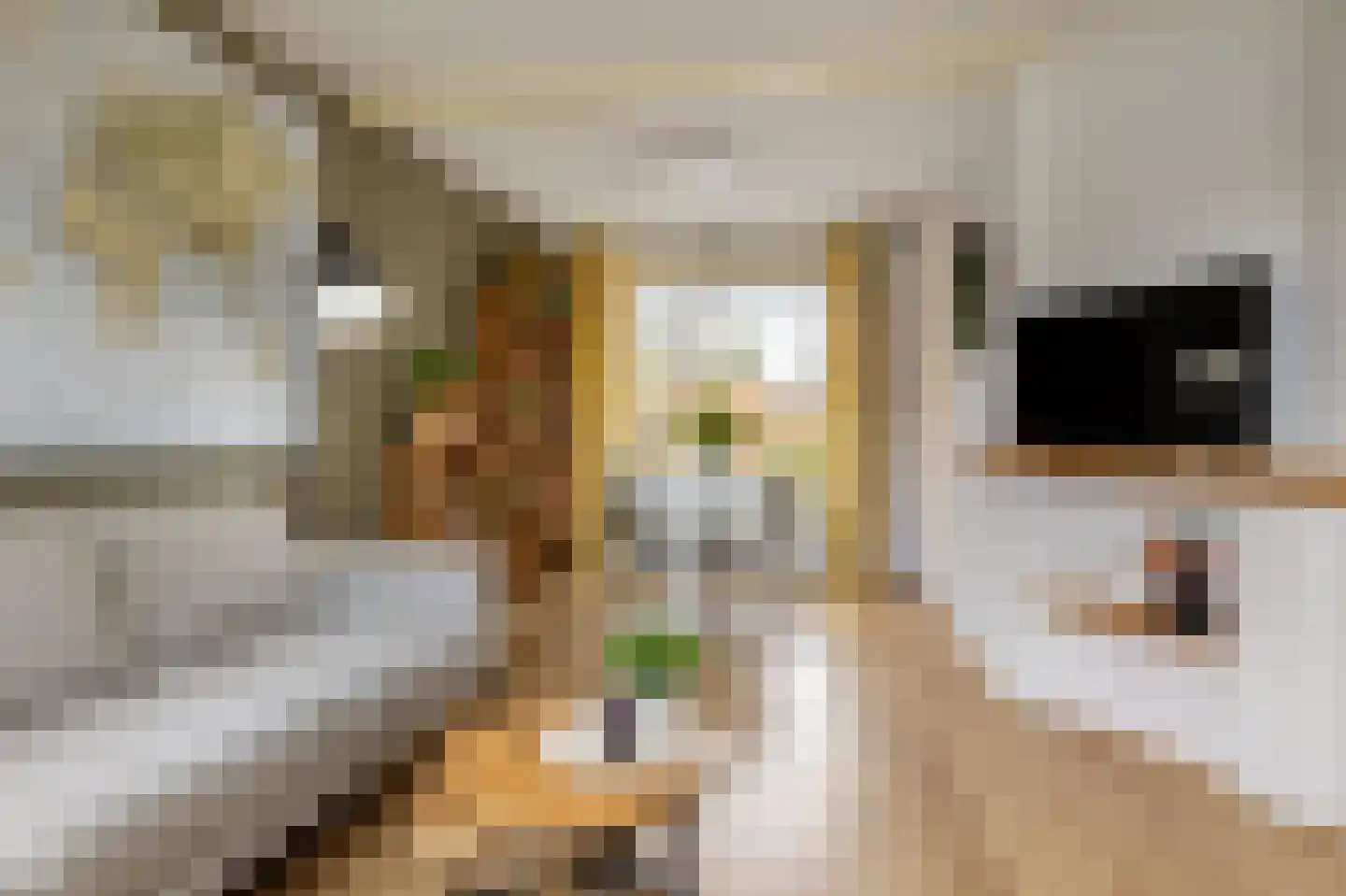 Douwemastrjitte 39 Jirnsum thumbnail 17