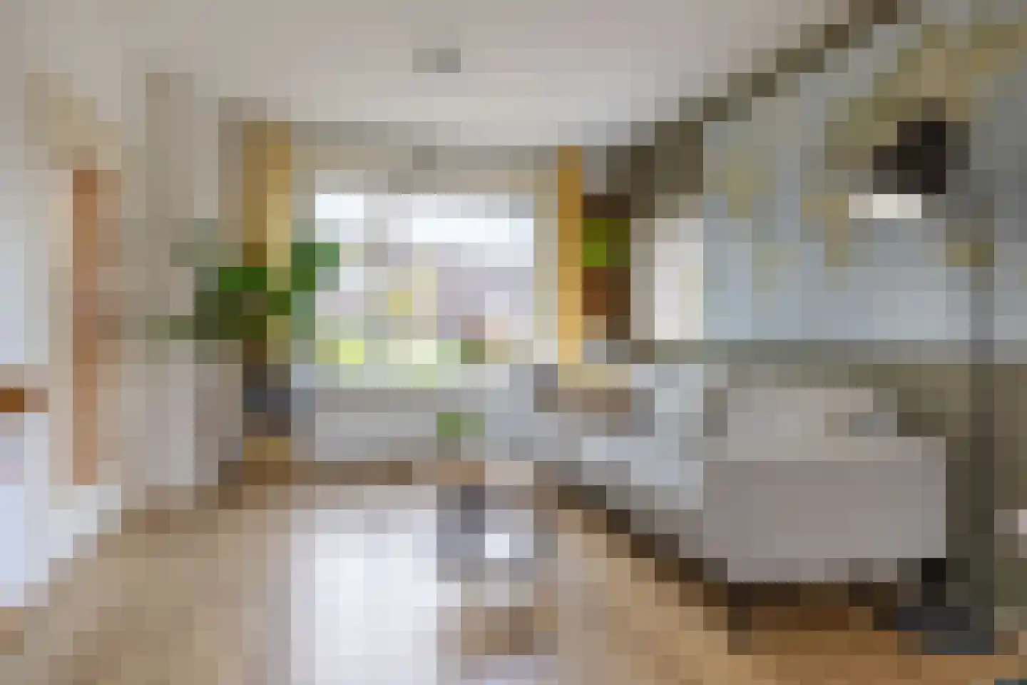 Douwemastrjitte 39 Jirnsum thumbnail 21