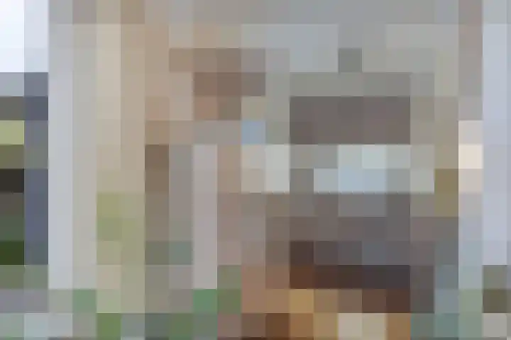Douwemastrjitte 43 Jirnsum thumbnail 14