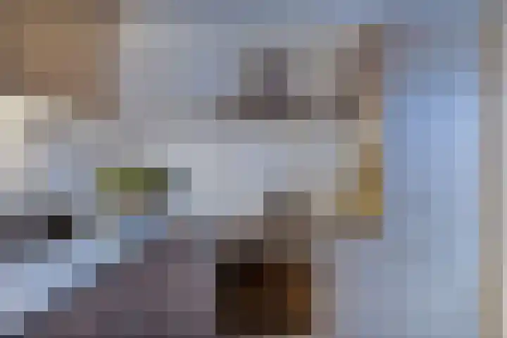 Douwemastrjitte 43 Jirnsum thumbnail 15
