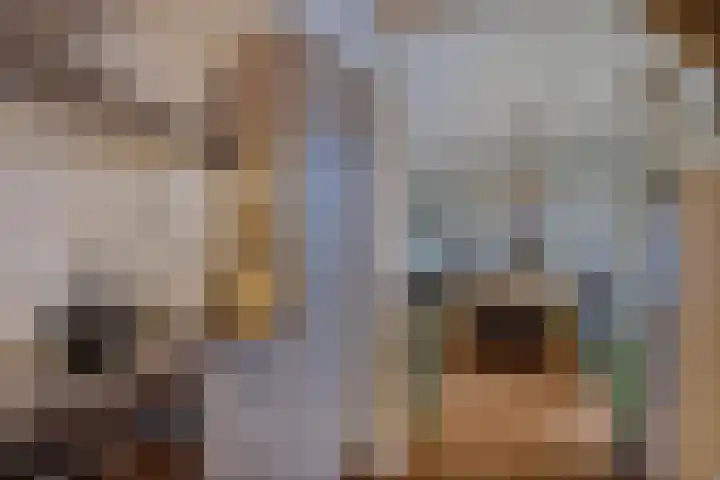 Douwemastrjitte 43 Jirnsum thumbnail 16