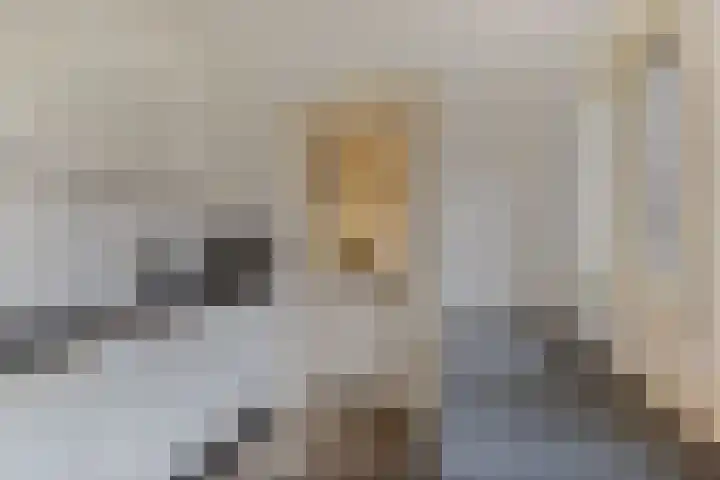 Douwemastrjitte 43 Jirnsum thumbnail 18