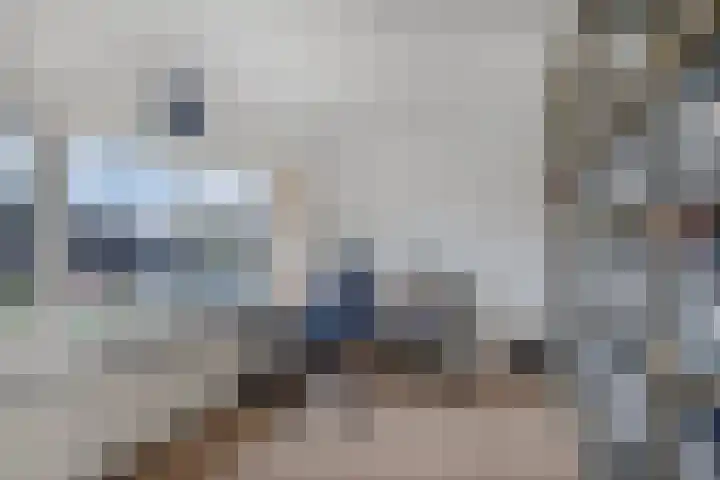 Douwemastrjitte 43 Jirnsum thumbnail 24