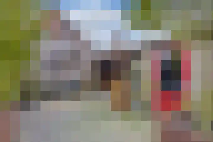 Douwemastrjitte 43 Jirnsum thumbnail 30