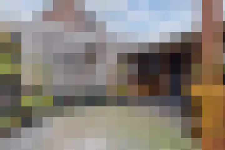 Douwemastrjitte 43 Jirnsum thumbnail 31