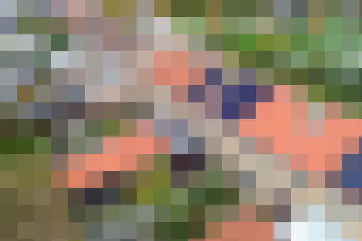 Douwemastrjitte 43 Jirnsum thumbnail 35