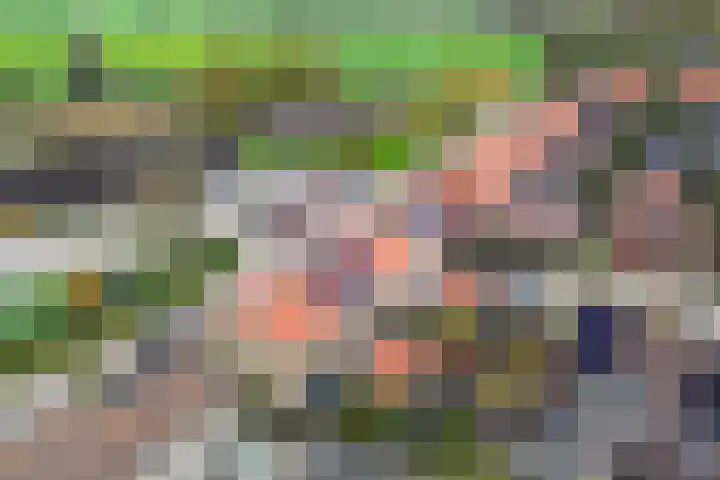 Douwemastrjitte 43 Jirnsum thumbnail 39