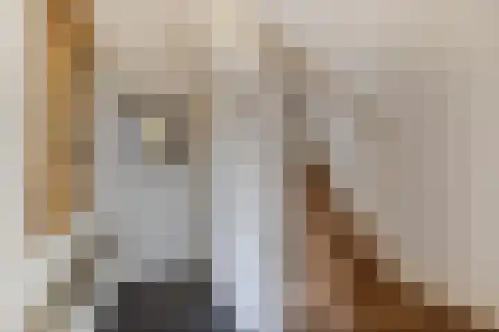 Douwemastrjitte 43 Jirnsum thumbnail 8