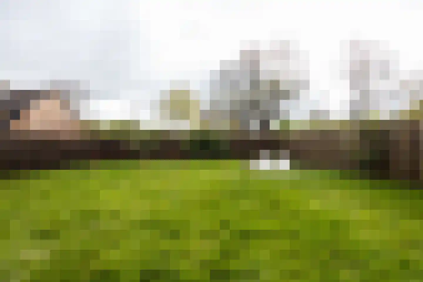 Douwencamp 113 Nijkerk thumbnail 29