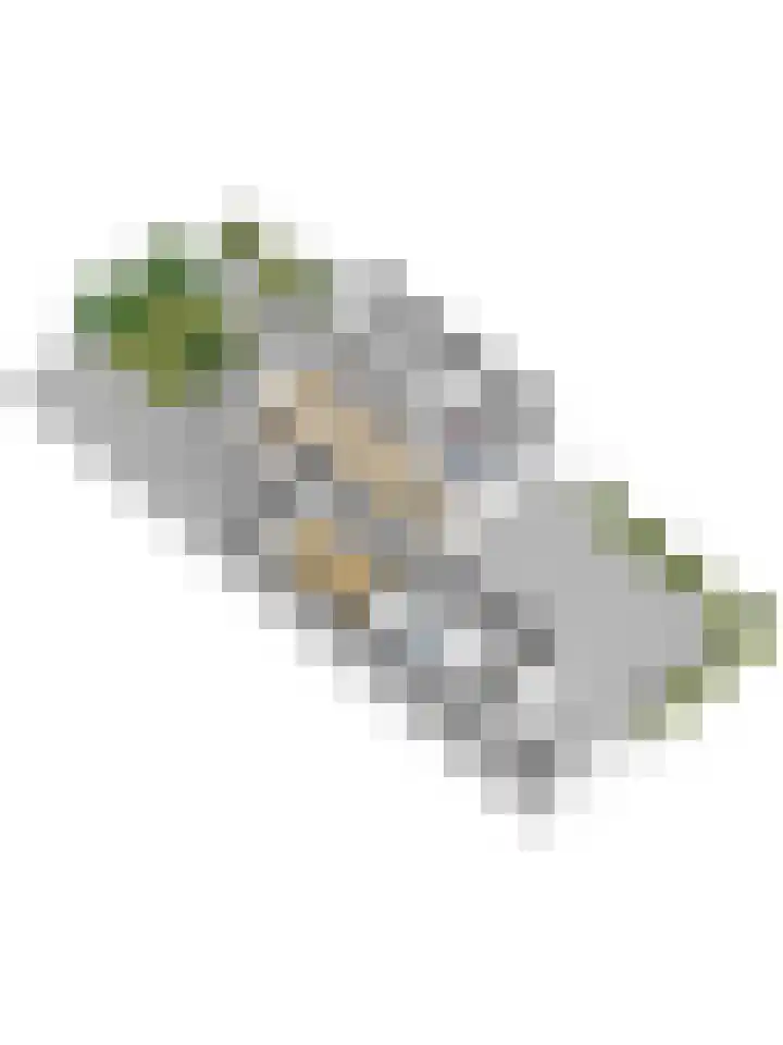 Douwencamp 40 Nijkerk thumbnail 35