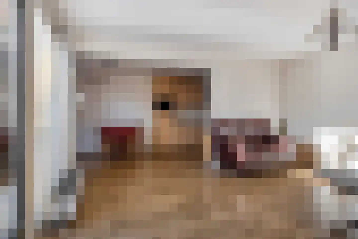 Douwes Dekkerlaan 11 Bergschenhoek thumbnail 17