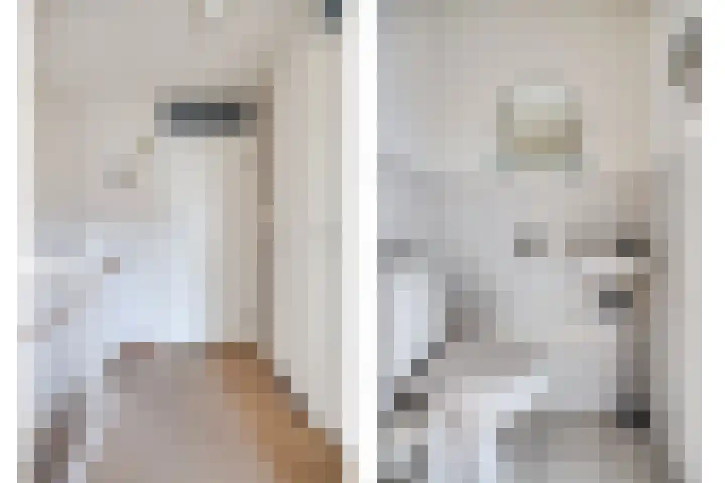 Douwes Dekkerlaan 11 Bergschenhoek thumbnail 19