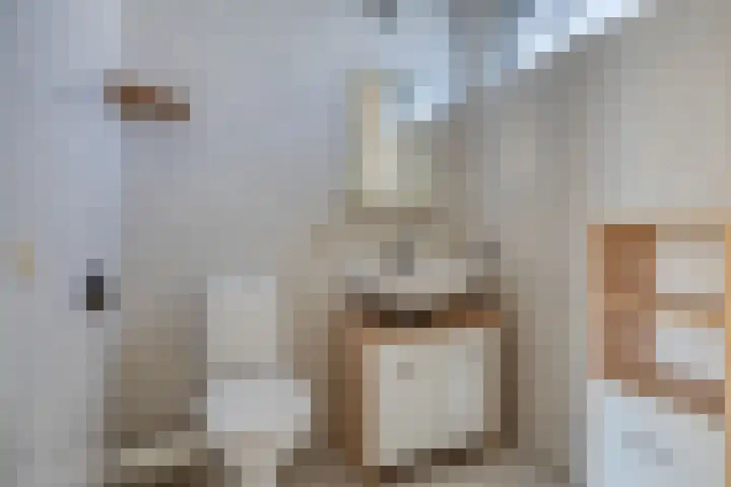 Douwes Dekkerlaan 11 Bergschenhoek thumbnail 22