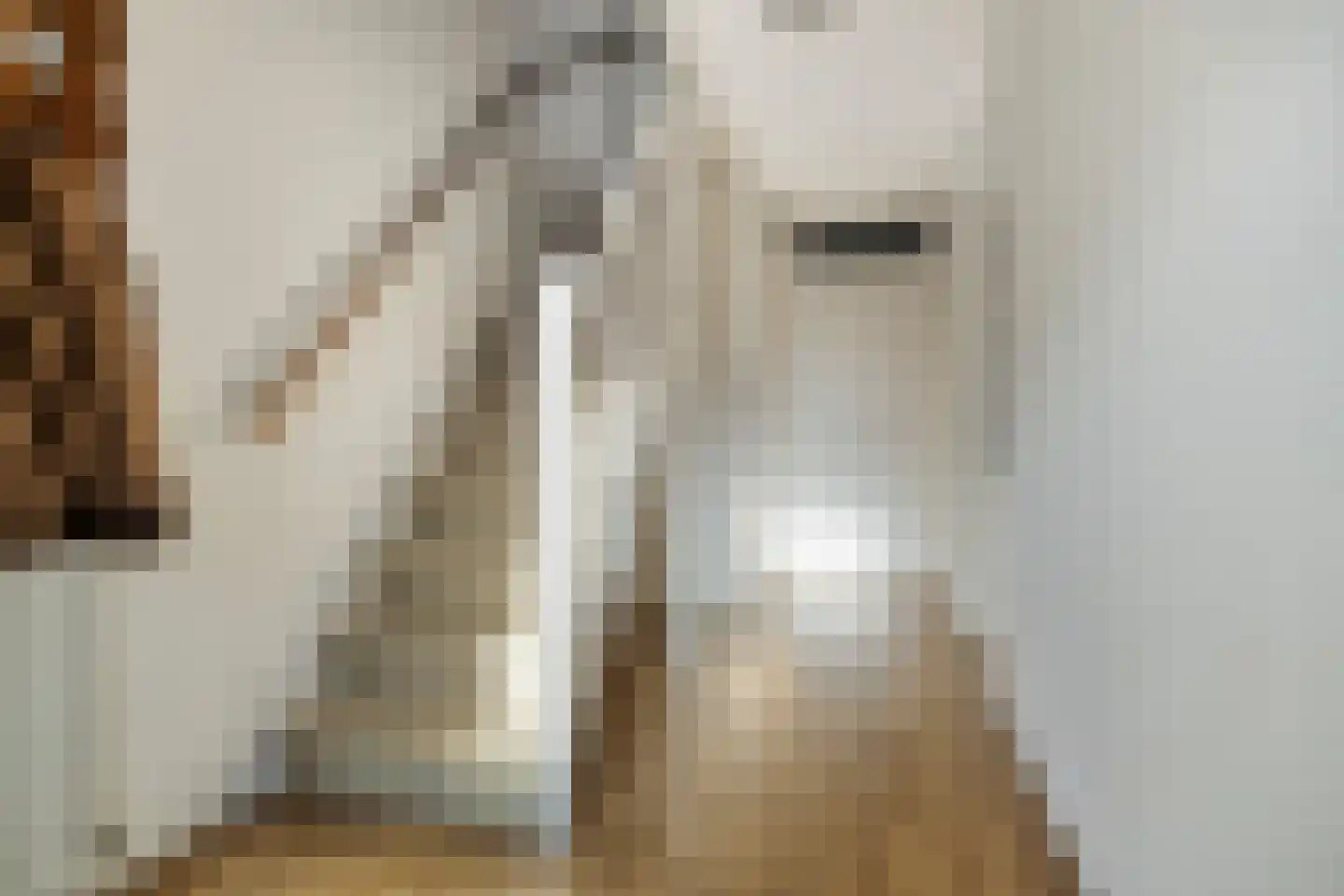 Douwes Dekkerlaan 11 Bergschenhoek thumbnail 6