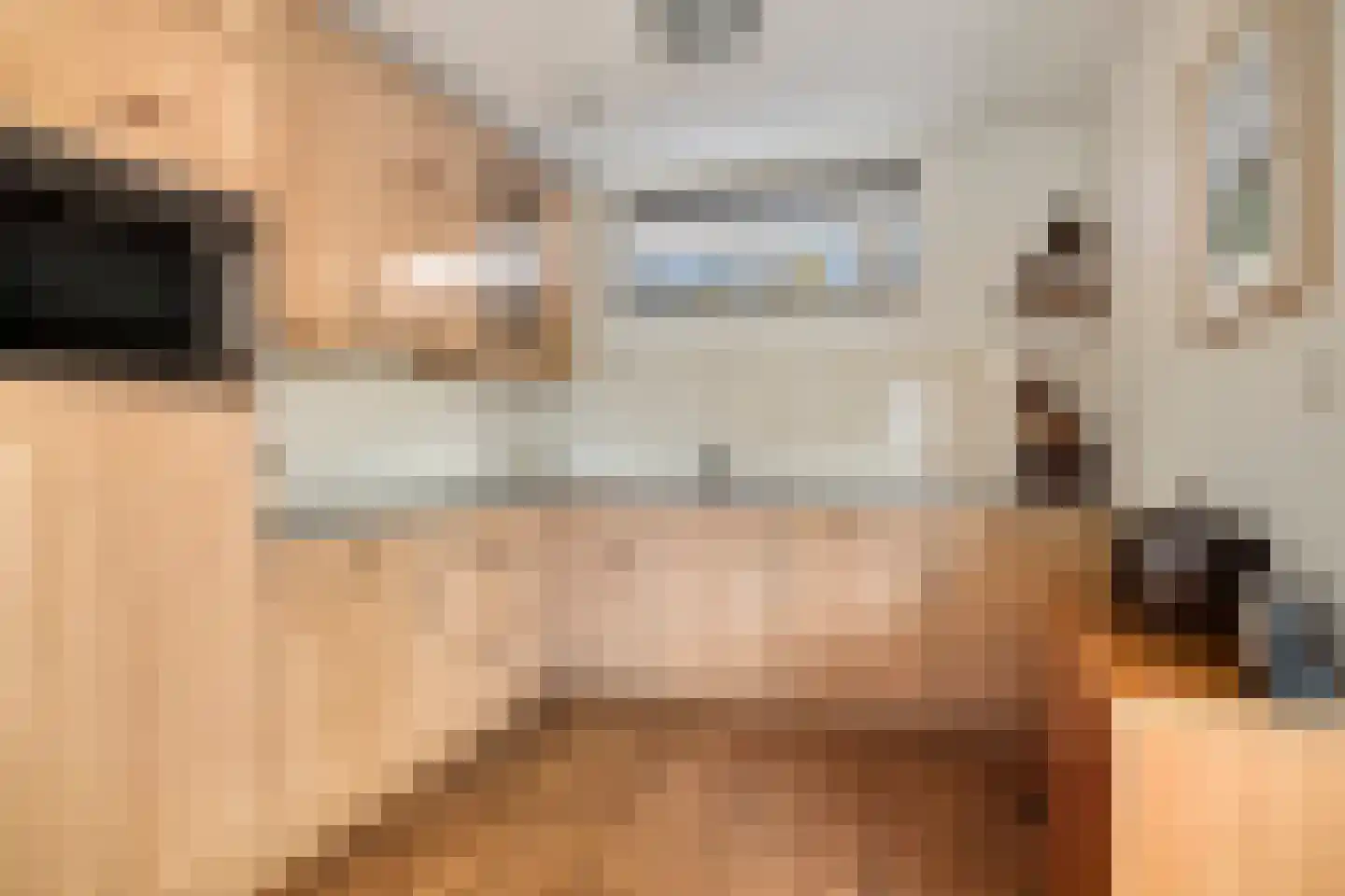 Douwes Dekkerlaan 11 Bergschenhoek thumbnail 8