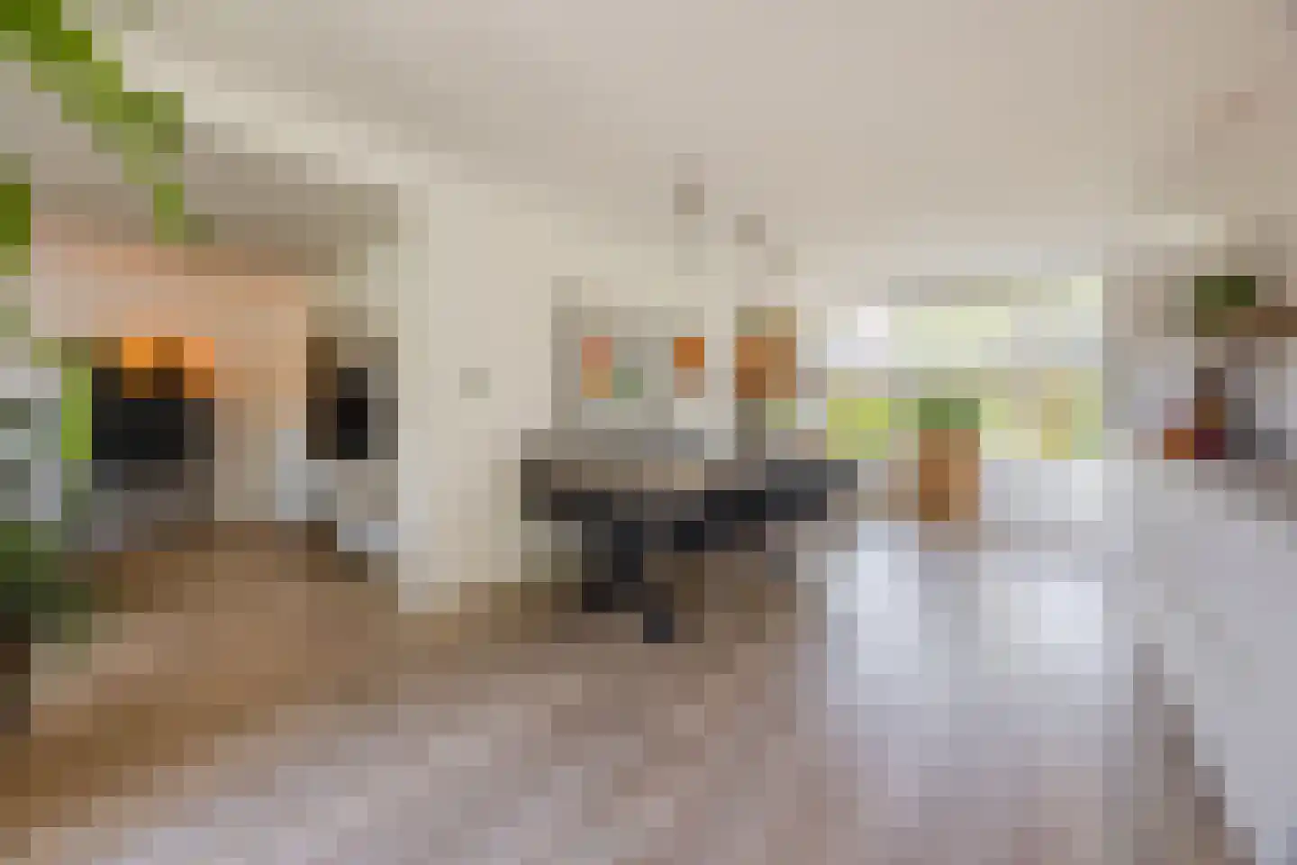 Douwes Dekkerlaan 21 Papendrecht thumbnail 10