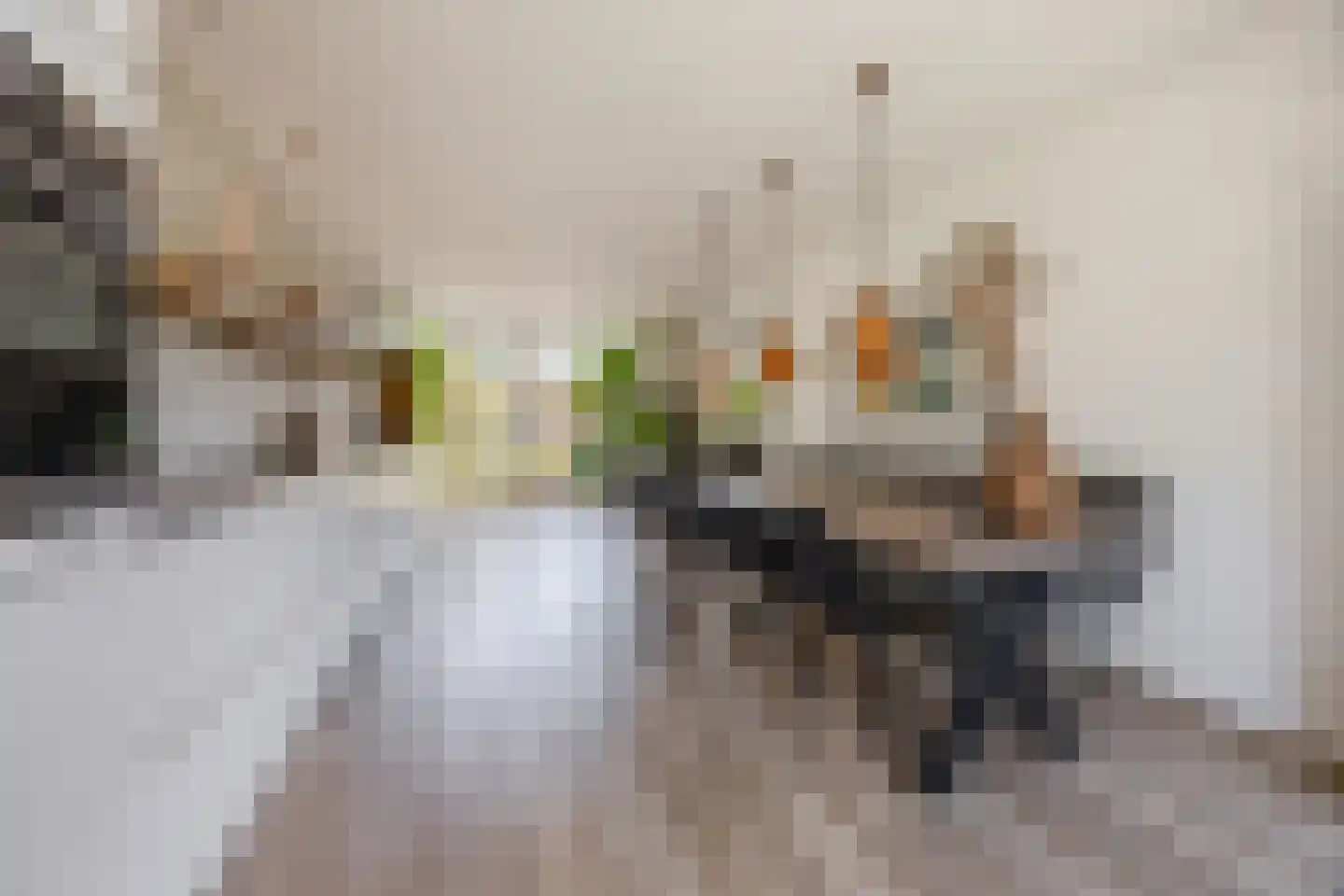 Douwes Dekkerlaan 21 Papendrecht thumbnail 11