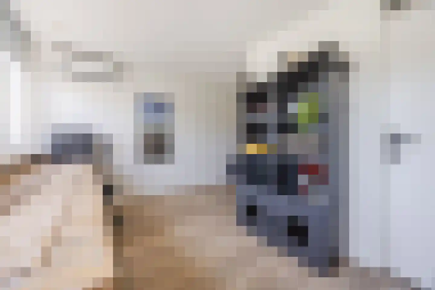 Douwes Dekkerlaan 21 Papendrecht thumbnail 15